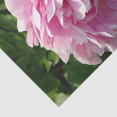 ピンク牡丹フォトコテージファームハウスフローラガーデン 薄葉紙 (詳細)