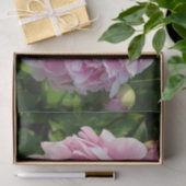 ピンク牡丹フォトコテージファームハウスフローラガーデン 薄葉紙 (ギフト)