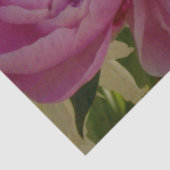 ピンク牡丹フォトコテージファームハウスフローラガーデン 薄葉紙 (詳細)