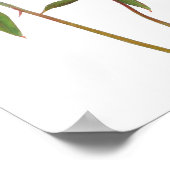 ピンク牡丹フラワーアートプリントポスター ポスター (角)