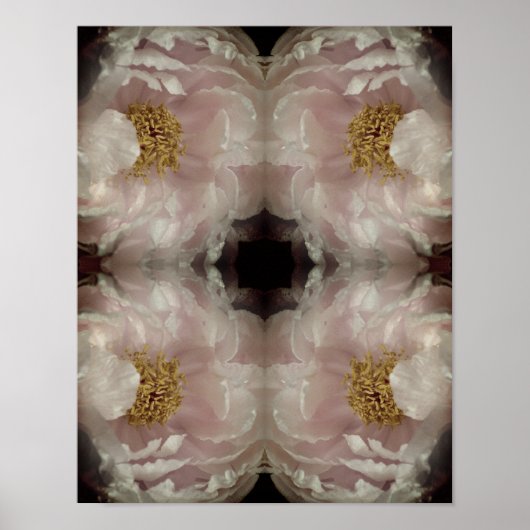 ピンク牡丹フラワーセンター抽象芸術ヴィンテージ ポスター (正面)