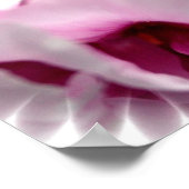 ピンク牡丹フラワープリント ポスター (角)