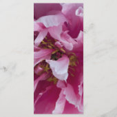 ピンク牡丹フラワー結婚式 プログラム (裏面)