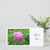 ピンク牡丹 – ありがとう サンキューカード (スタンド正面)
