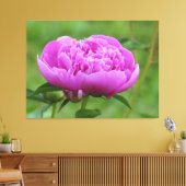 ピンク牡丹 キャンバスプリント (インサイチュ (リビング))