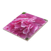 ピンク牡丹 タイル (側面)