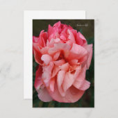 ピンク牡丹 ノートカード (正面/裏面)