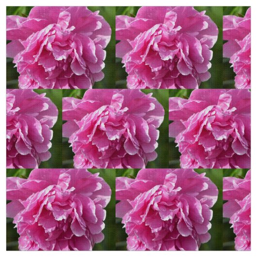 ピンク牡丹 ファブリック (見本)