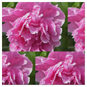 ピンク牡丹 ファブリック (クローズアップ)