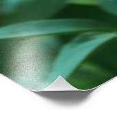 ピンク牡丹 フォトプリント            (角)