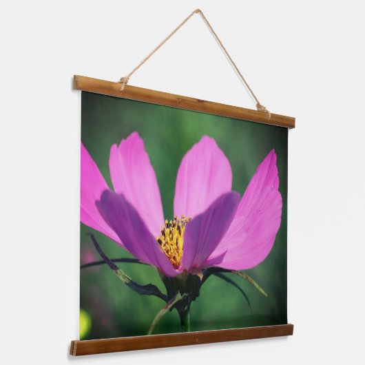 ピンク独身ののコスモスの花を開花 吊り下げ型タペストリー (傾斜あり)