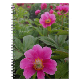 ピンク独身のの牡丹 ノートブック