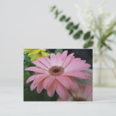 ピンク独身のの花 ポストカード (スタンド正面)