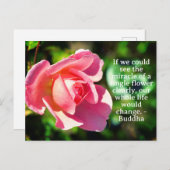 ピンク独身のバラやる気を起こさせる引用文 ポストカード (正面/裏面)