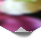 ピンク独身のローズ撮影プリント ポスター (角)