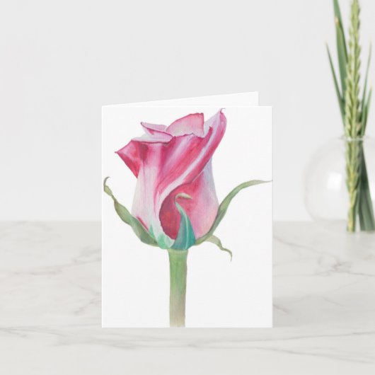 ピンク独身のローズ空白のカード シーズンカード (正面)