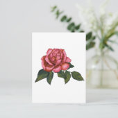 ピンク独身のローズ：カラーペンシルスケッチ：アート ポストカード (スタンド正面)