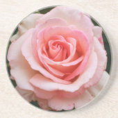 ピンク独身のローズ コースター (正面)