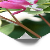 ピンク独身の色の出血ハート花 ポスター (角)