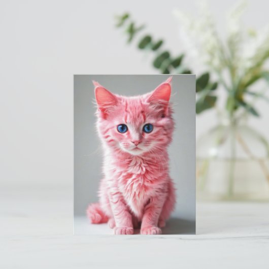 ピンク猫 ポストカード (スタンド正面)