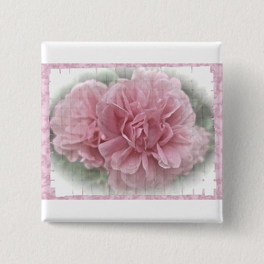 ピンク登山バラの花 缶バッジ (正面)