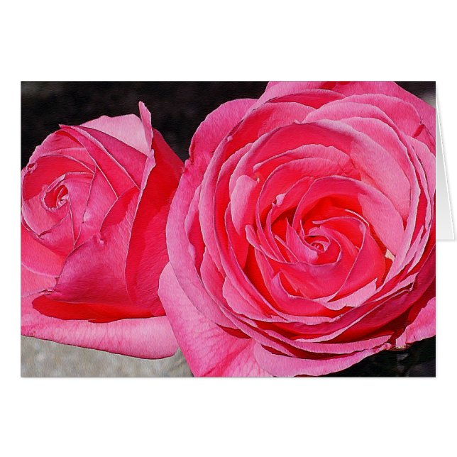 ピンク登山バラ (正面横)