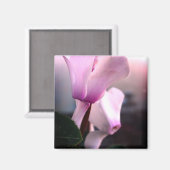 ピンク白い花写真角磁石 マグネット (正面/裏面)