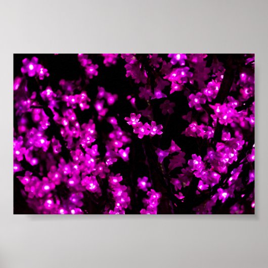 ピンク白熱［赤熱］光を放つのフラワーライト ポスター (正面)