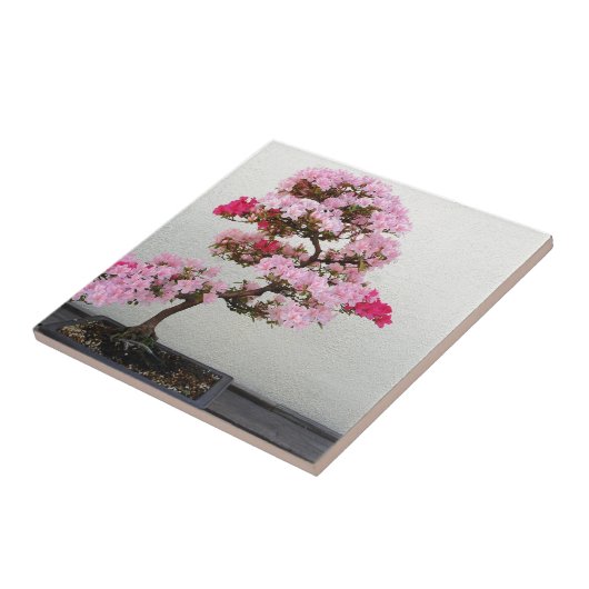 ピンク盆栽 タイル (側面)