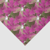 ピンク紅葉 薄葉紙 (詳細)