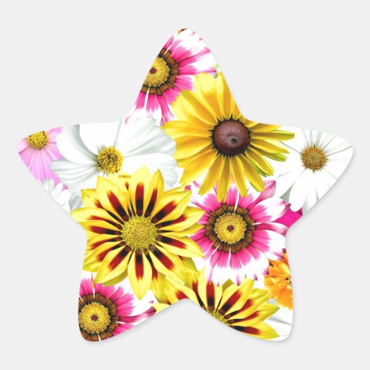 ピンク素晴らしがかった黄色の花柄のアクセサリー 星シール (正面)