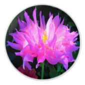 ピンク素晴らしとパープルサボテン セラミックノブ (正面)