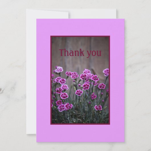 ピンク素朴ディアンツスフラワーズフラットサンキューカード サンキューカード (正面)