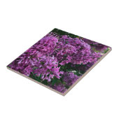 ピンク紫色のライラック |ロマンチックなピンクのフローラ写真 タイル (側面)