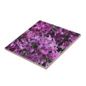 ピンク紫色のライラック |ロマンチックなピンクのフローラ写真 タイル (側面)