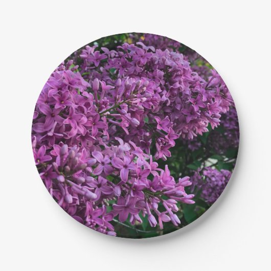 ピンク紫色のライラック |ロマンチックなピンクのフローラ写真 ペーパープレート (正面)