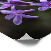 ピンク紫色の野生ニンニクの花フローラ ポスター (角)