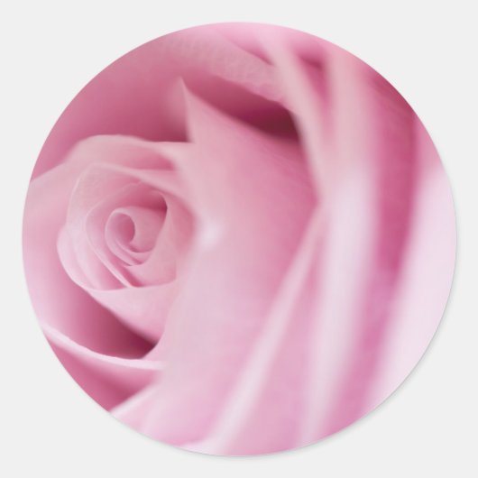 ピンク結婚ローズ封筒用シール ラウンドシール (正面)