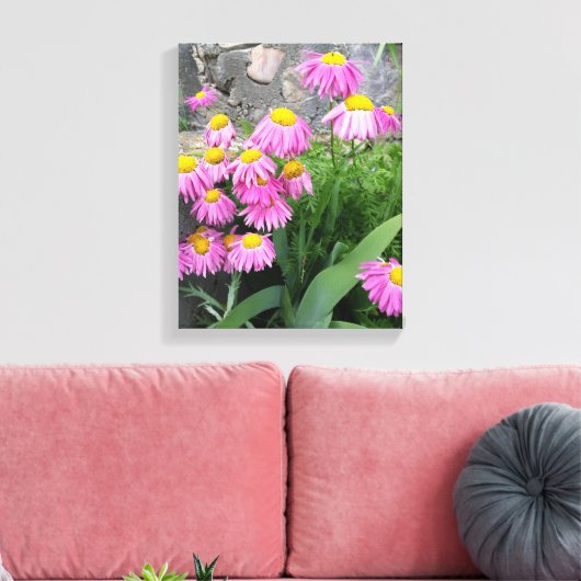 ピンク絵を描デイジー花自然撮影 キャンバスプリント (インサイチュ (リビング))