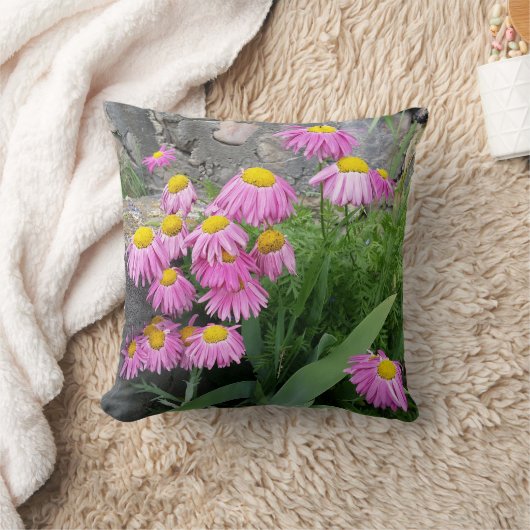 ピンク絵を描デイジー花自然撮影 クッション (ブランケット)