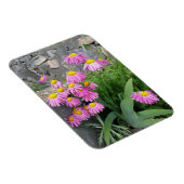 ピンク絵を描デイジー花自然撮影 マグネット (右側)