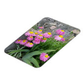 ピンク絵を描デイジー花自然撮影 マグネット (左側)