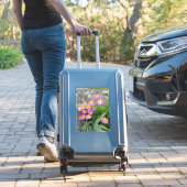 ピンク絵を描デイジー野生の花自然写真 シール (スーツケースインサイチュ)