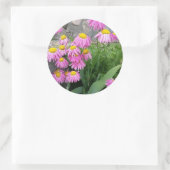 ピンク絵を描デイジー野生の花自然写真 ラウンドシール (バッグ)