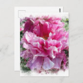 *~*ピンク絵画牡丹芸術的印象主義AR1 ポストカード (正面/裏面)