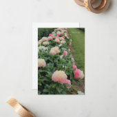 ピンク縁ど牡丹 ノートカード (正面/裏面インサイチュ)