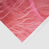 ピンク羽のクラウングラマーのデコページ 薄葉紙 (詳細)