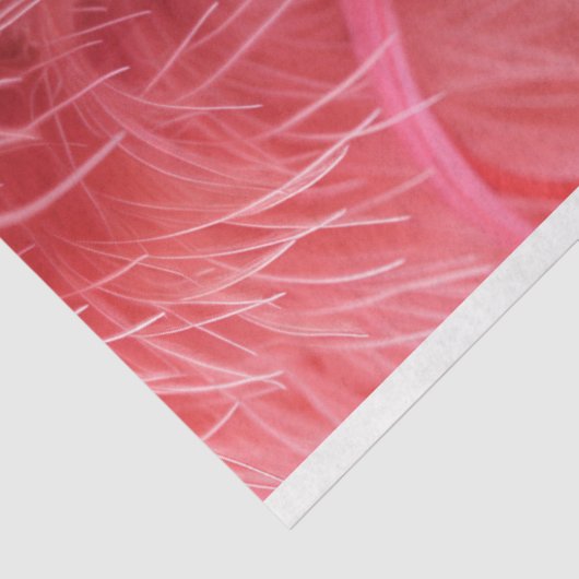 ピンク羽のクラウングラマーのデコページ 薄葉紙 (詳細)