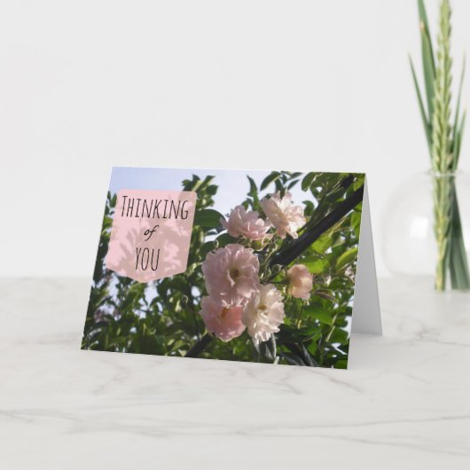 ピンク考えるのバラ カード (正面)