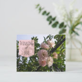 ピンク考えるのバラ ポストカード (スタンド正面)